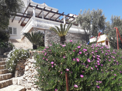 Apartamenty villa rosa Vela Luka (Wyspa Korčula)