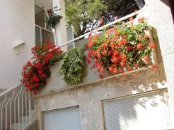 Apartmani Mimosa Vodice