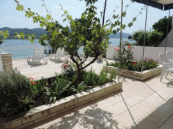 Apartmenthaus Perica Viganj (Halbinsel Peljesac)