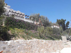 Appartamenti villa rosa Vela Luka (Isola Korcula)